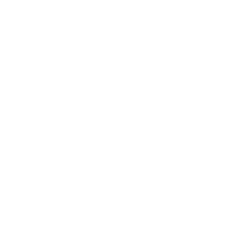 selfstore logo